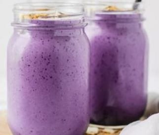 Plexus Lean Blueberry Vanilla Protein Shake